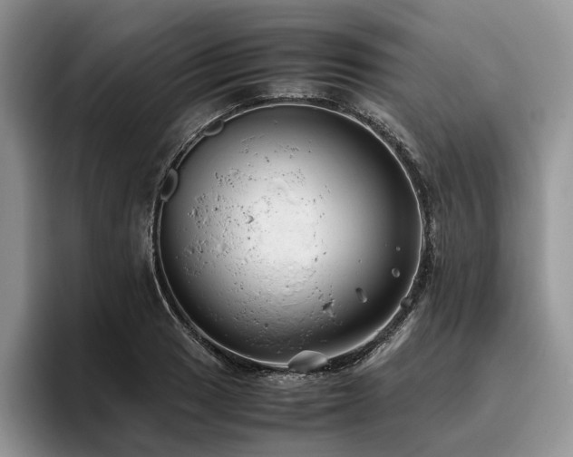 X0000096141033200801181128