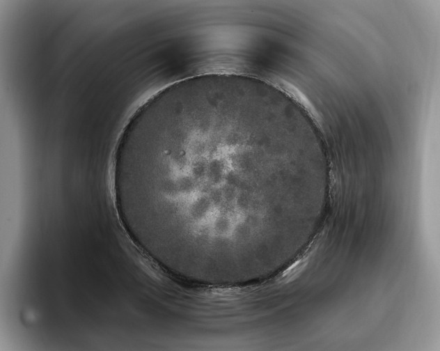 X0000096141035200801181128