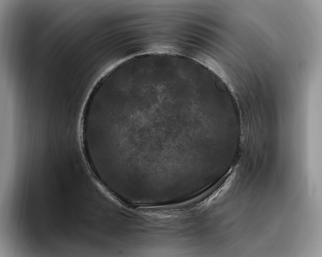 X0000096141037200801181128