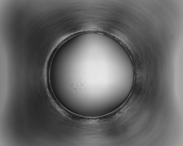 X0000096141038200801181128