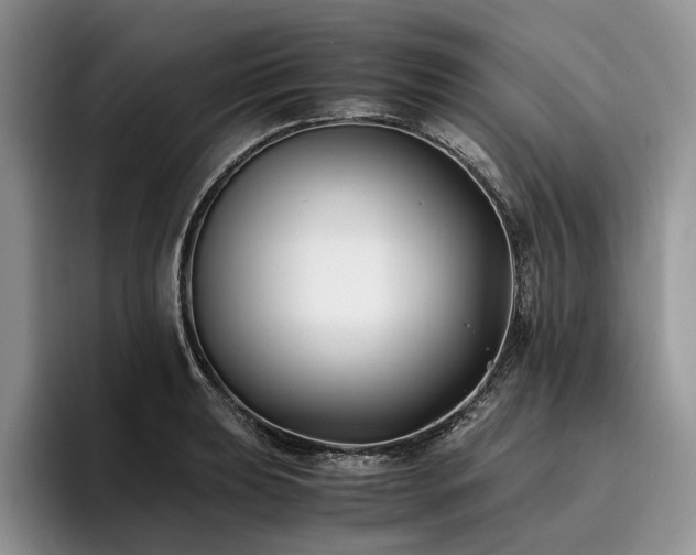 X0000096141039200801181128