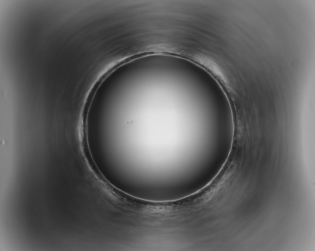 X0000096141040200801181128