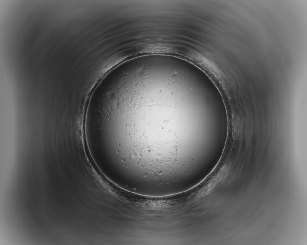 X0000096141041200801181129