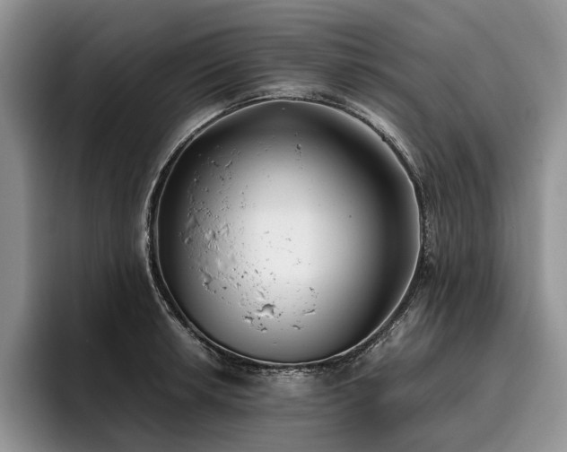 X0000096141042200801181129