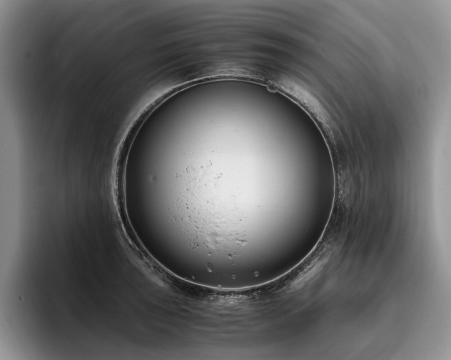 X0000096141043200801181129