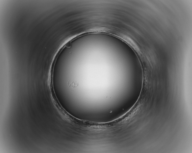 X0000096141044200801181129