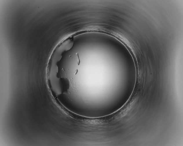 X0000096141045200801181129