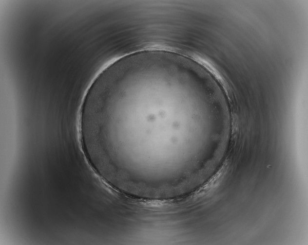 X0000096141048200801181129