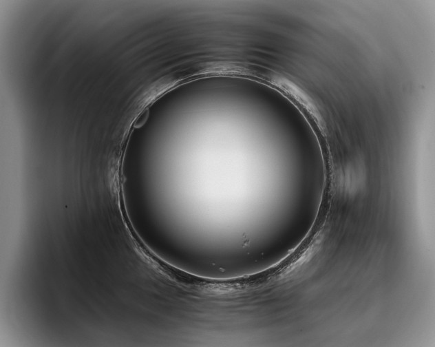 X0000096141049200801181129