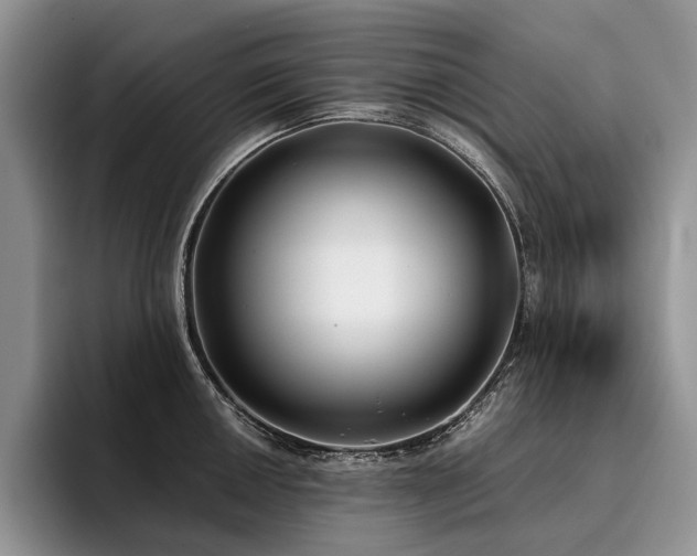X0000096141050200801181129