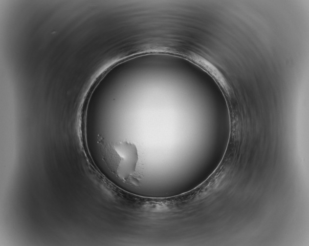 X0000096141051200801181129