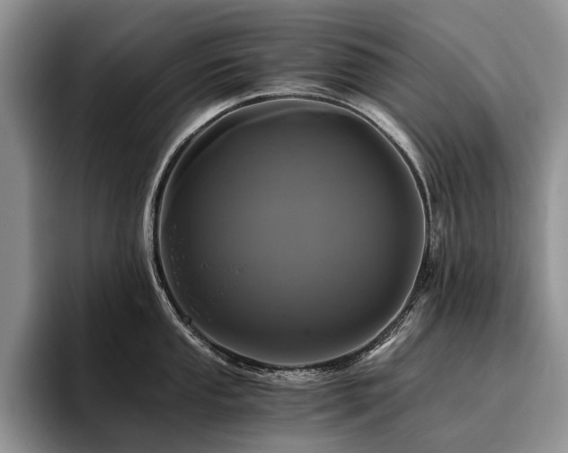 X0000096141053200801181129