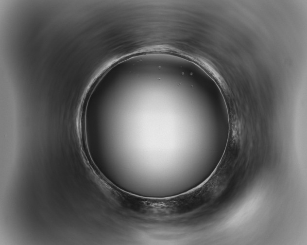 X0000096141054200801181129