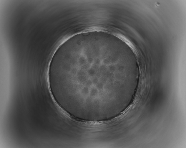 X0000096141055200801181129