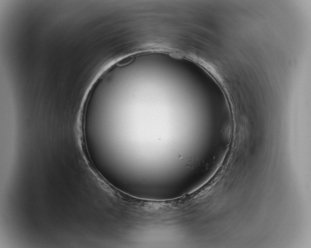X0000096141056200801181129