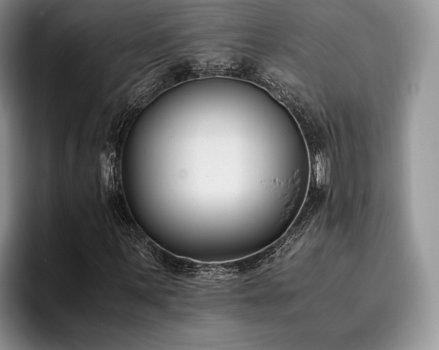 X0000096141059200801181128