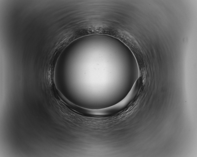 X0000096141060200801181128