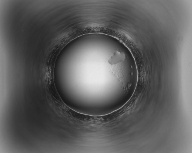 X0000096141062200801181128