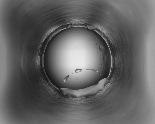 X0000096141066200801181128