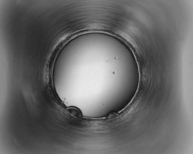 X0000096141067200801181128