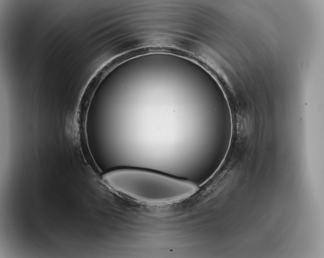 X0000096141068200801181128