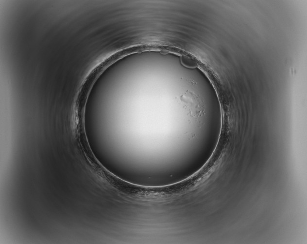 X0000096141070200801181128