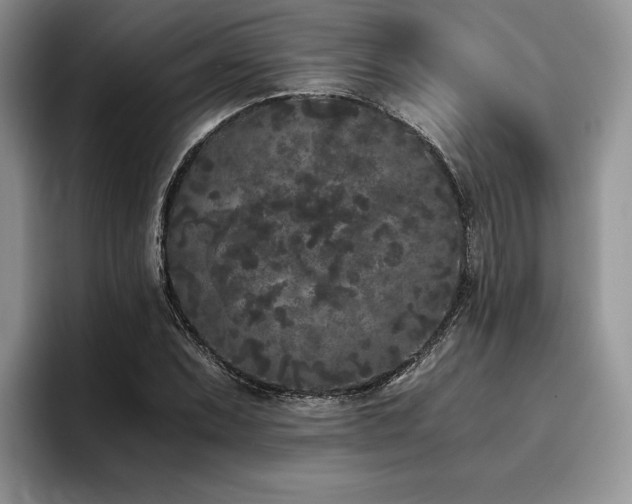 X0000096141071200801181128