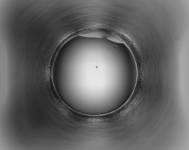 X0000096141073200801181128