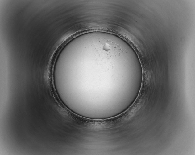X0000096141074200801181128