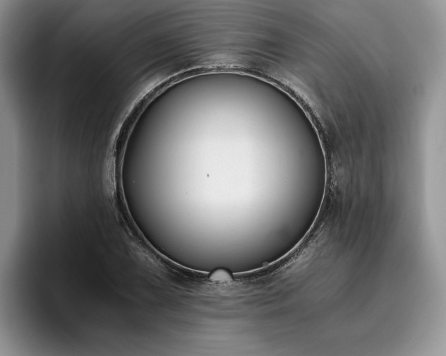 X0000096141075200801181128