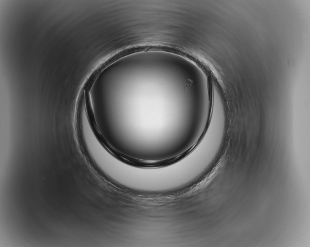 X0000096141077200801181128