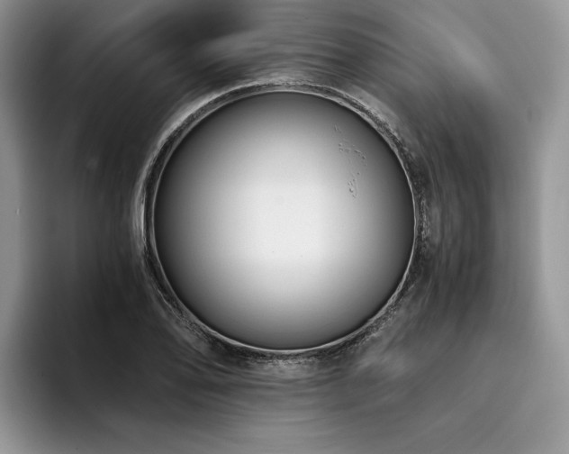 X0000096141078200801181128