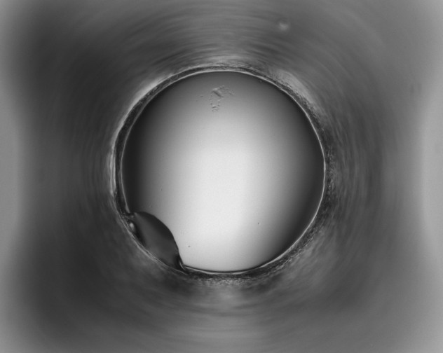 X0000096141079200801181128