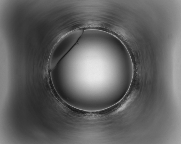 X0000096141081200801181128