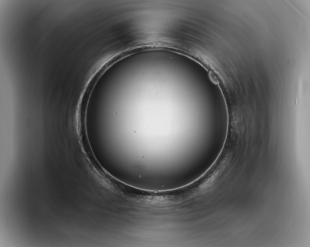 X0000096141082200801181128