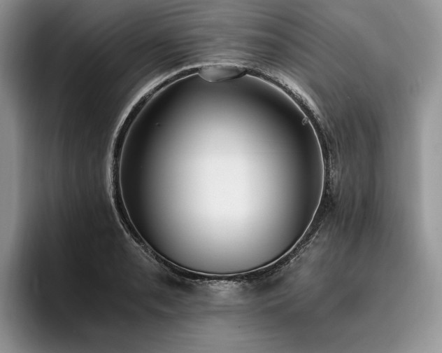 X0000096141085200801181128