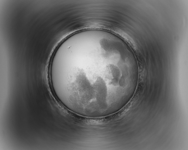 X0000096141086200801181128