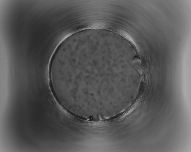 X0000096141087200801181128
