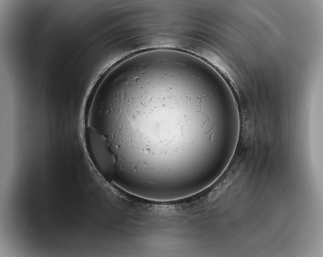 X0000096141088200801181128