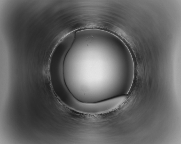 X0000096141089200801181128