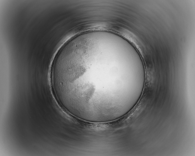 X0000096141090200801181128