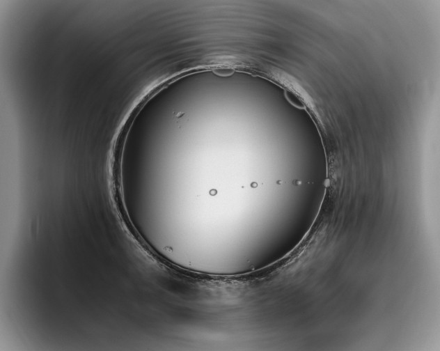X0000096141091200801181128