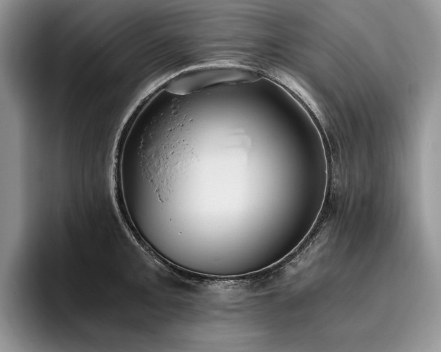 X0000096141093200801181128
