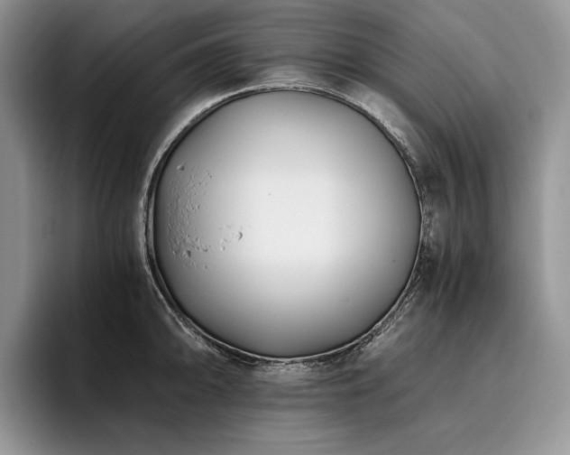 X0000096141094200801181128