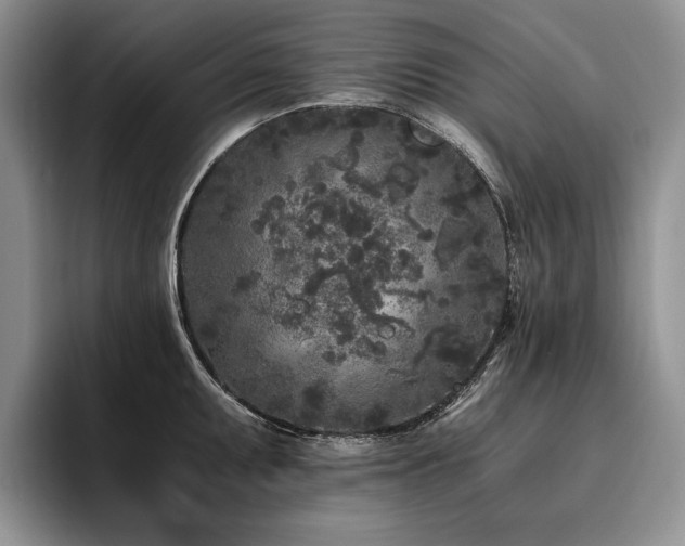 X0000096141095200801181128