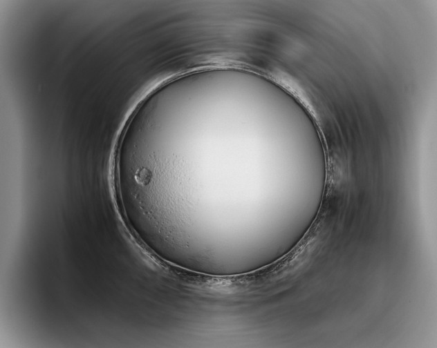 X0000096141098200801181128