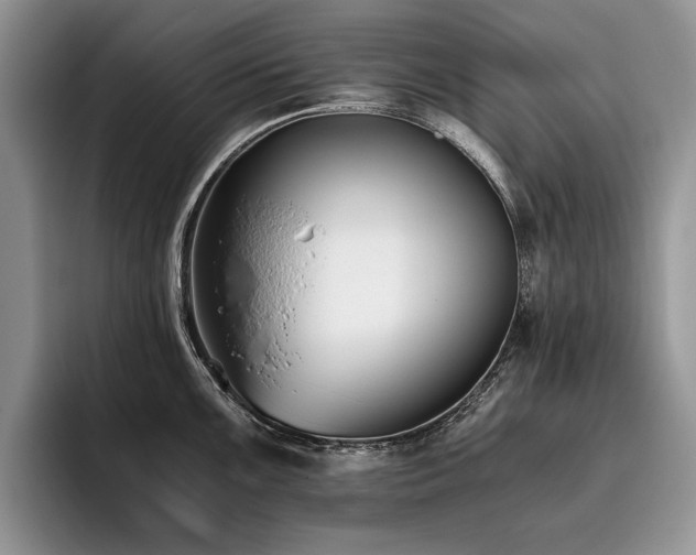 X0000096141099200801181128