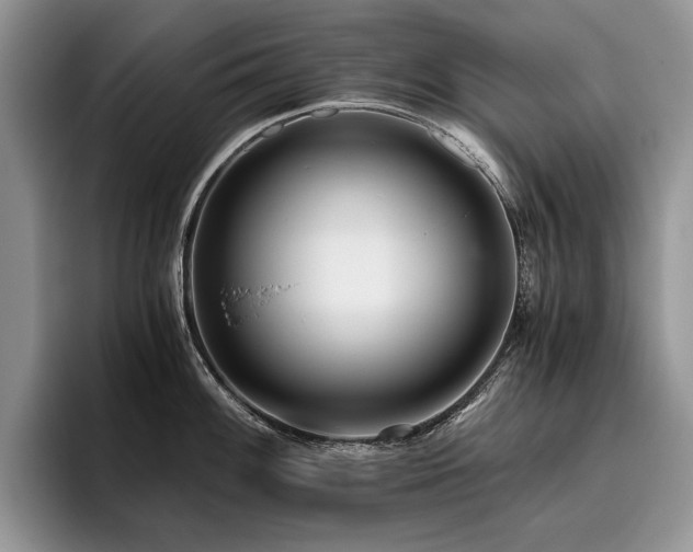X0000096141100200801181128