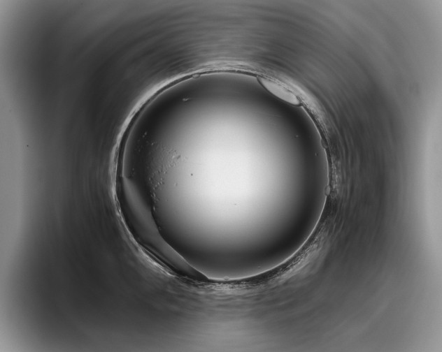 X0000096141102200801181128