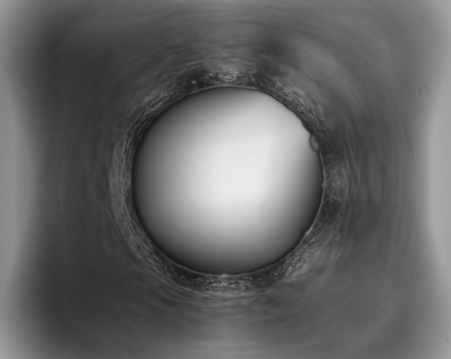 X0000096141105200801181127